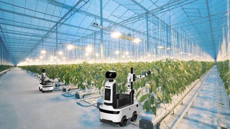 农业物联网技术系统究竟是如何构建的？让我们一起揭开它的神秘面纱。