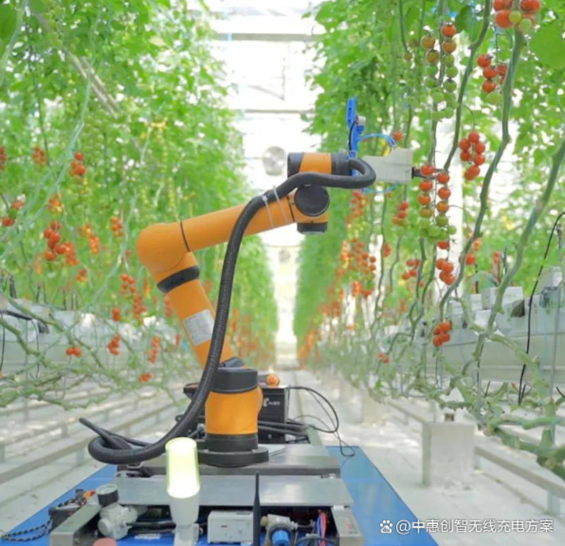 检验检疫技术中心改革：未来之路何方？