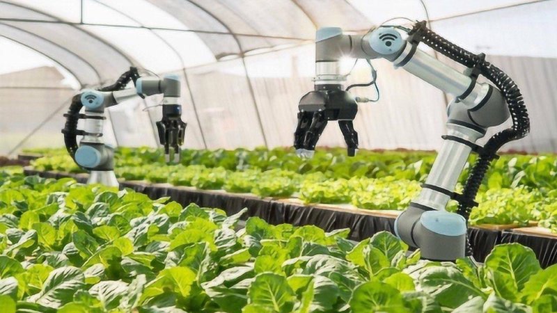 检验检疫技术中心是干嘛的？——一项行业内部对比分析